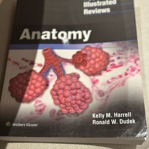 Anatomy Illustrated Reviews Book